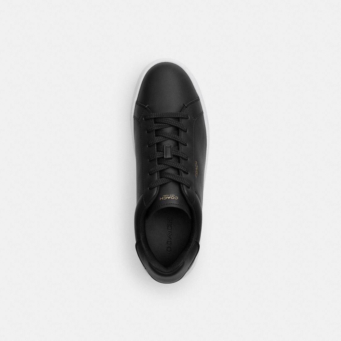 Coach High Line Sneaker available now at Dadeland Mall™