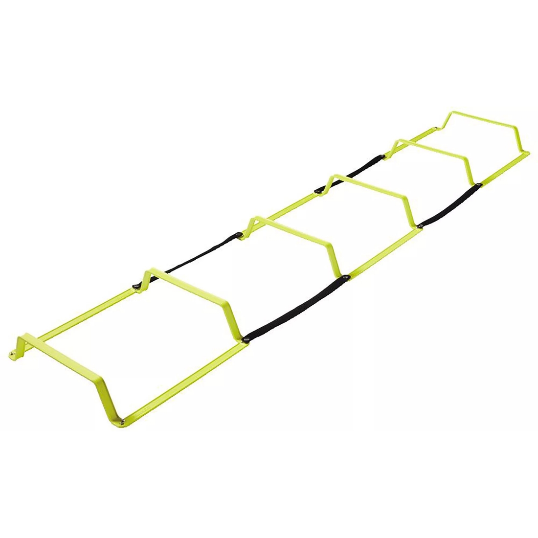 Primed Elevation Ladder