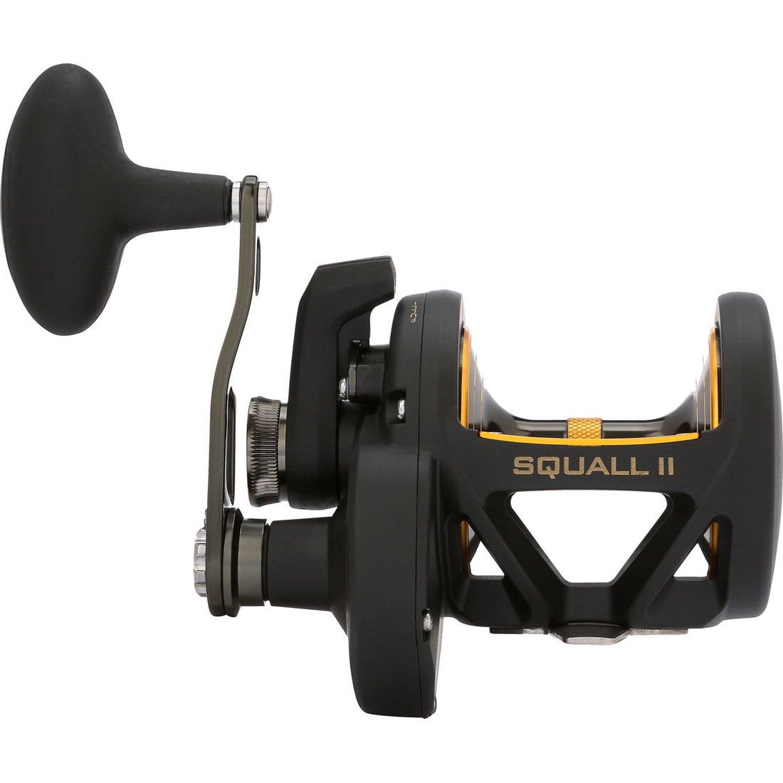 Dick's Sporting Goods PENN Fishing Squall II Lever Drag Reel, Aluminum  available now at Smith Haven Mall