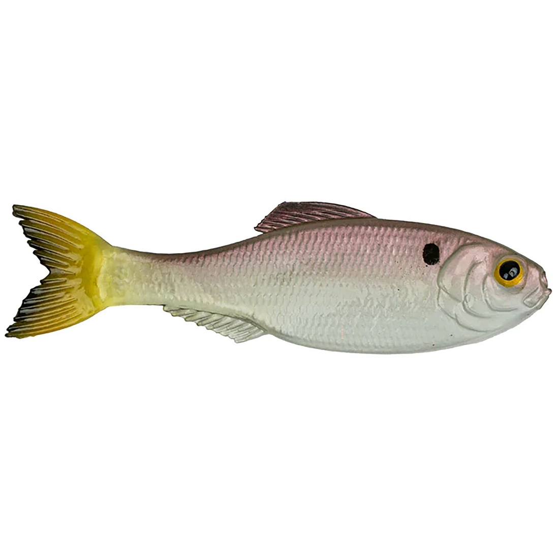 6th Sense Panorama Soft Bait, Ghost Pro Shad