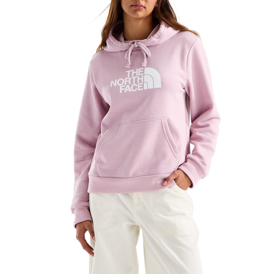 The North Face Evolution Half Dome Pullover Hoodie