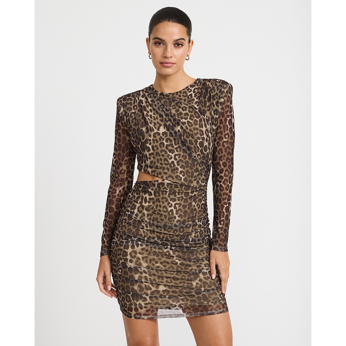 Express Mesh Leopard Crew Neck Long Sleeve Cutout Mini Dress