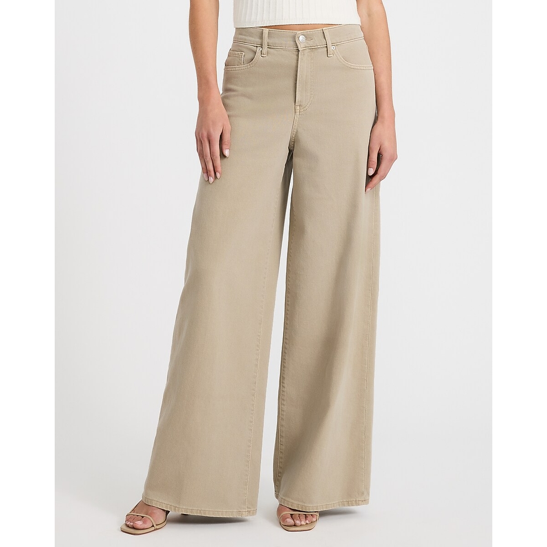 Express High Waisted Relaxed Wide Leg Khaki Jeans