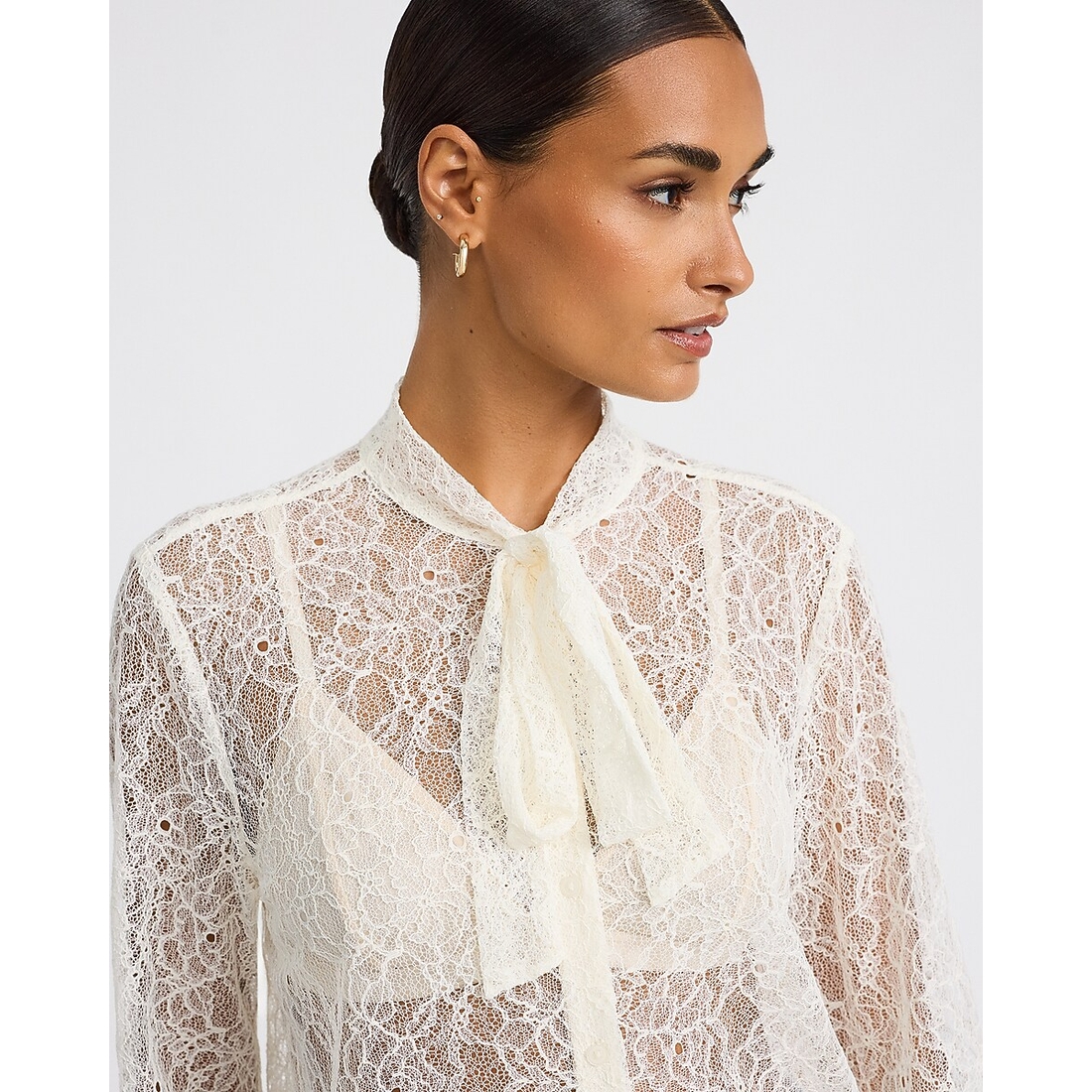 Express Sheer Lace Tie Neck Long Sleeve Button Front Top