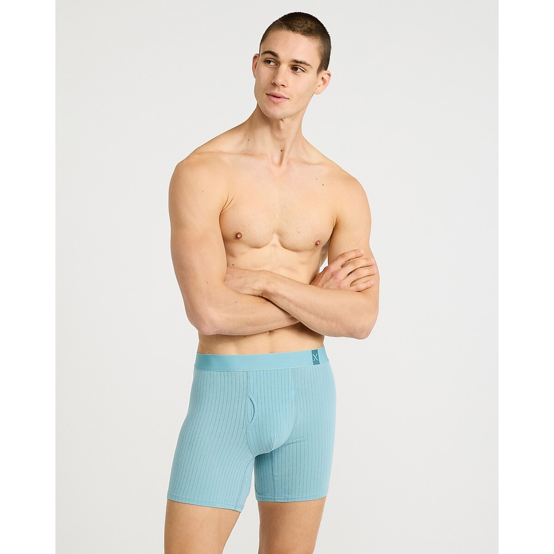 Express 6" Ribbed Cotton-Blend Boxer Briefs 4 Pack