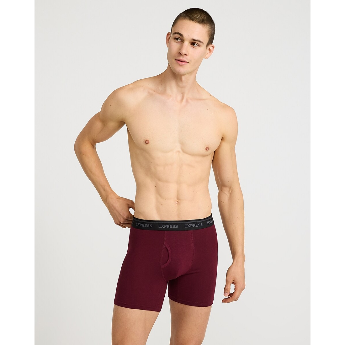 Express 6" Luxe Cotton Boxer Briefs 3 Pack