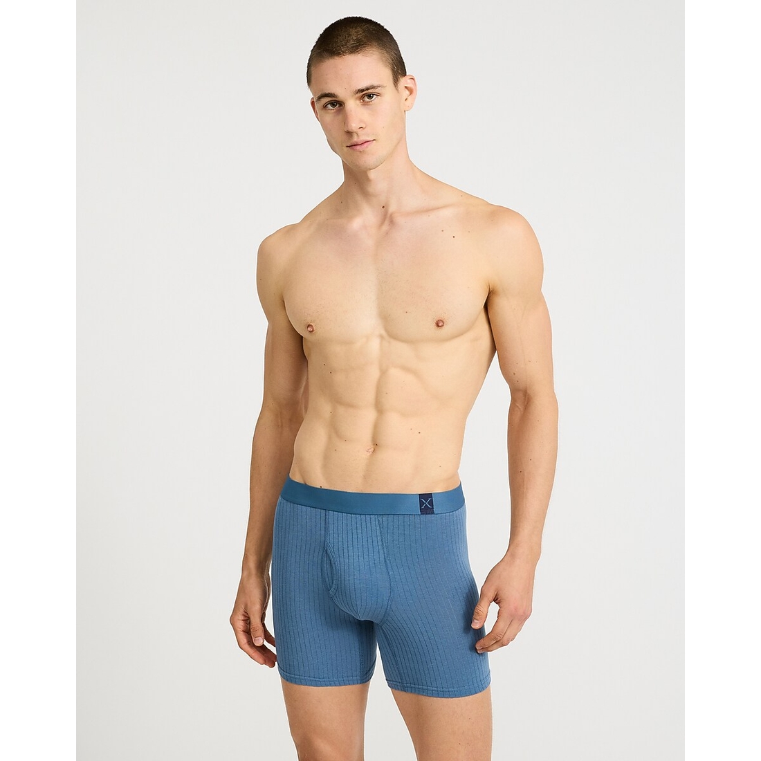Express 6" Ribbed Cotton-Blend Boxer Briefs 4 Pack