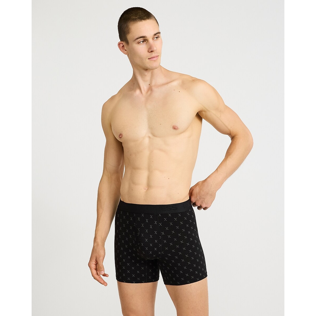 Express 6" Luxe Cotton Boxer Briefs 5 Pack