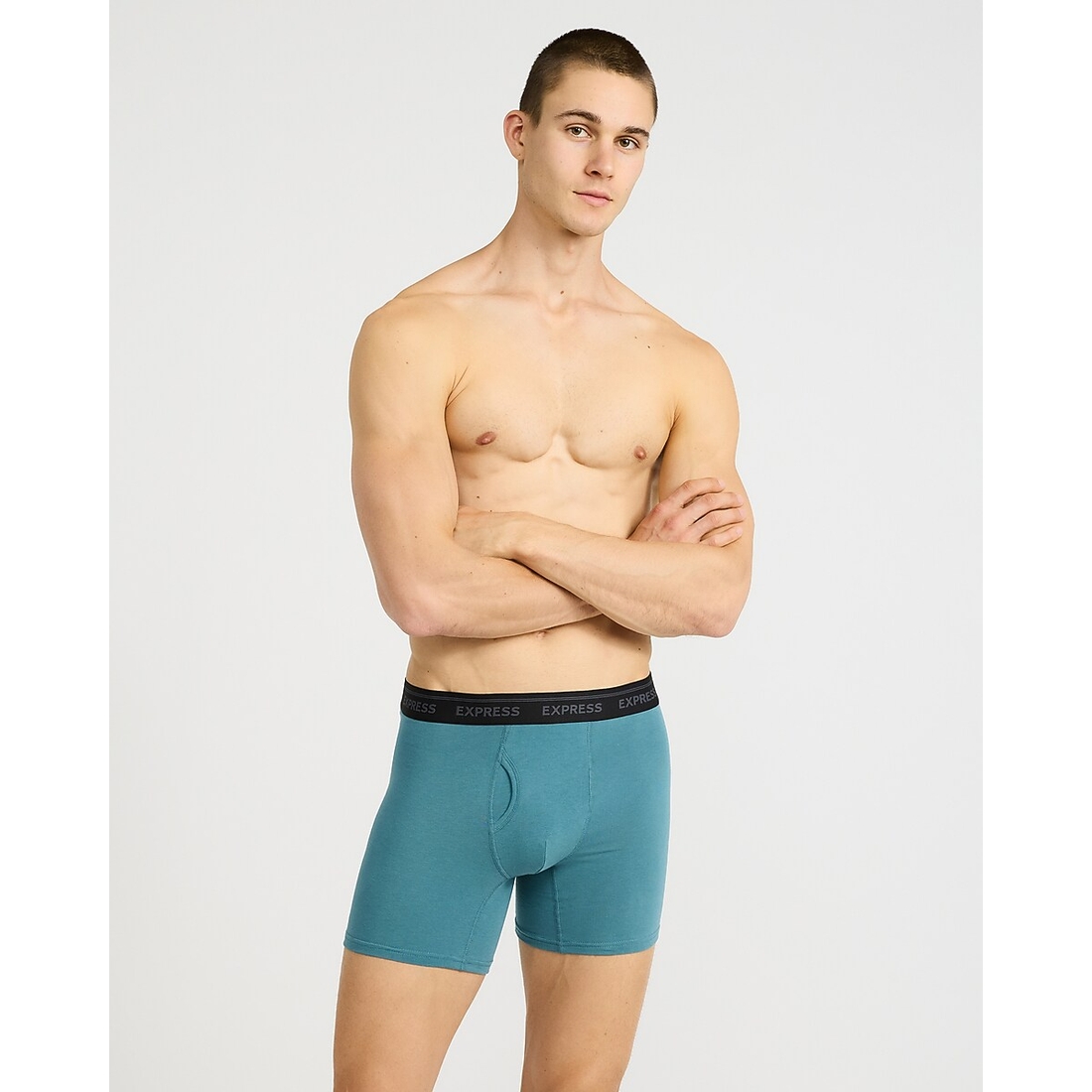 Express 6" Luxe Cotton Boxer Briefs 4 Pack