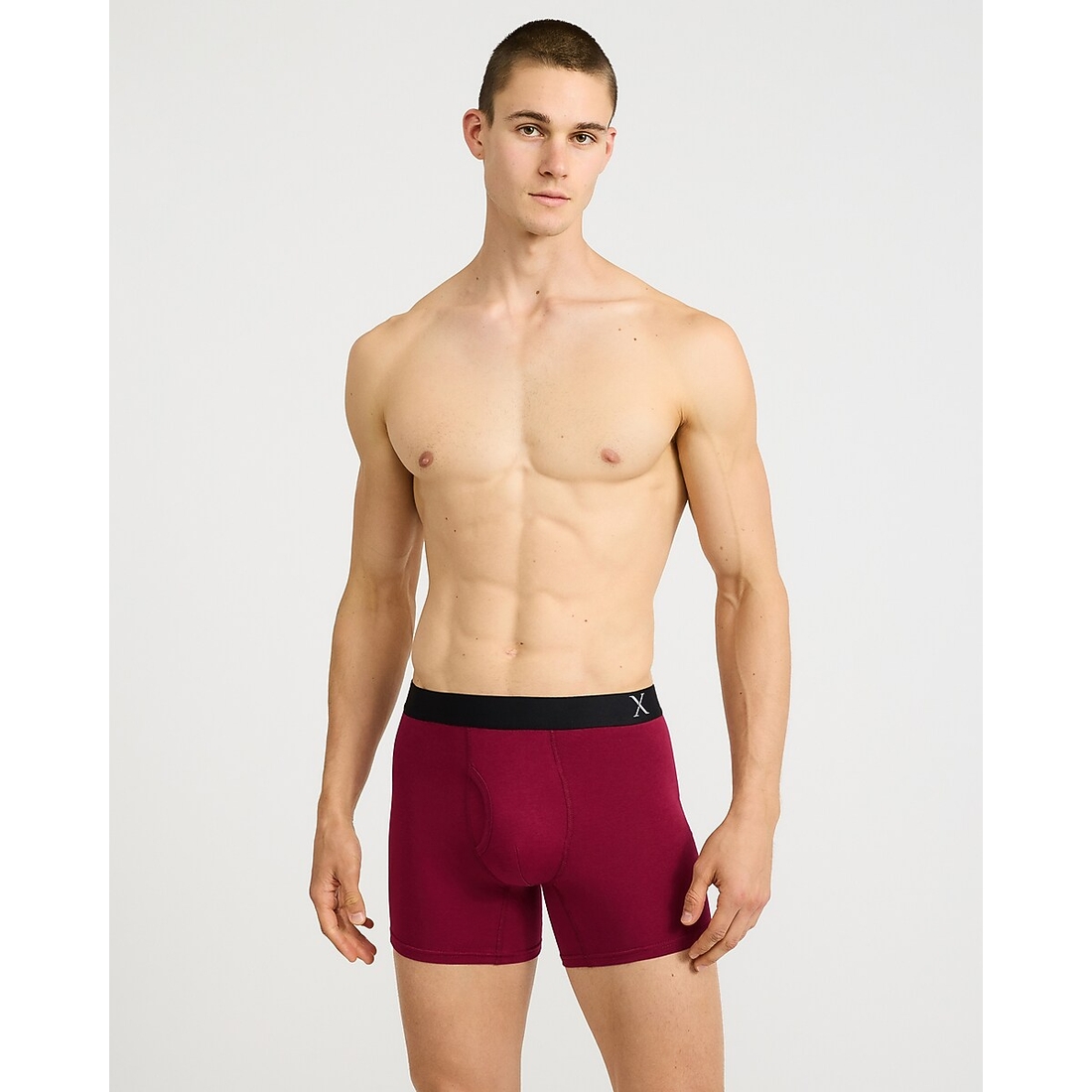 Express 6" Luxe Cotton Boxer Briefs 4 Pack