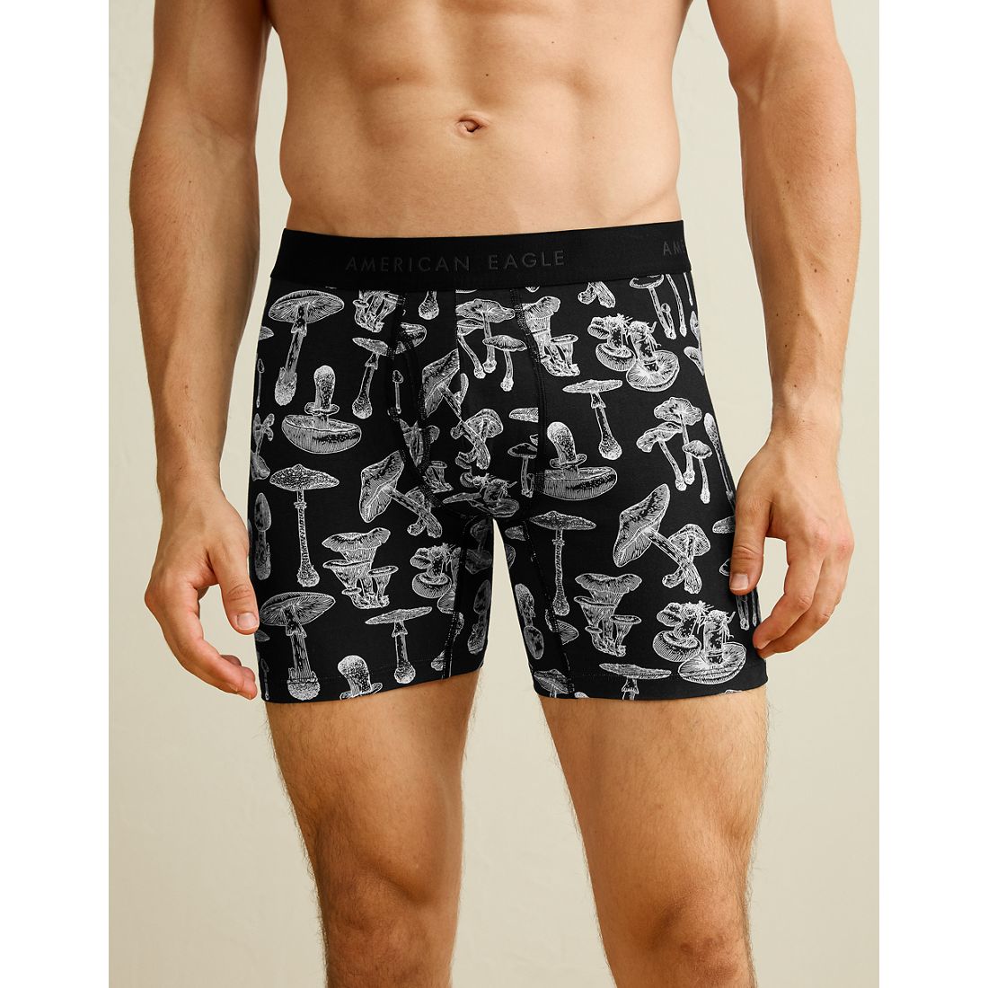 American Eagle AE