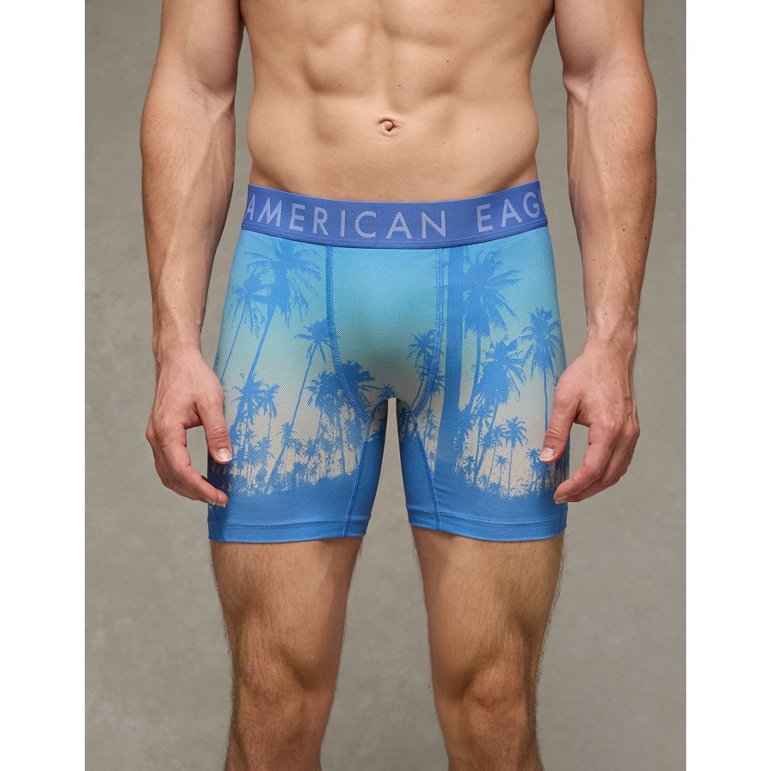 American Eagle AE