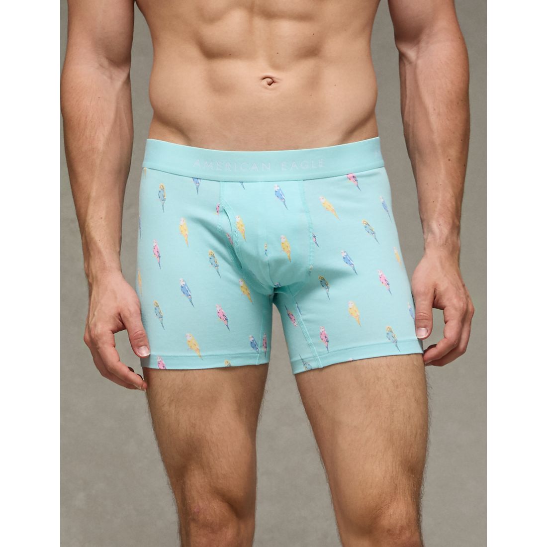 American Eagle AE