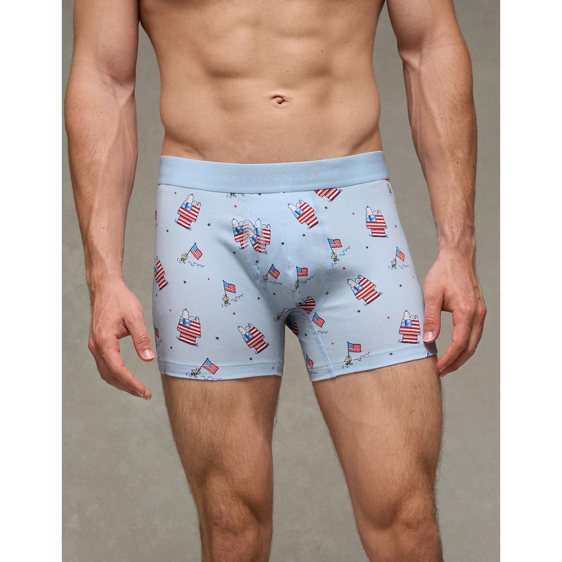 American Eagle AE