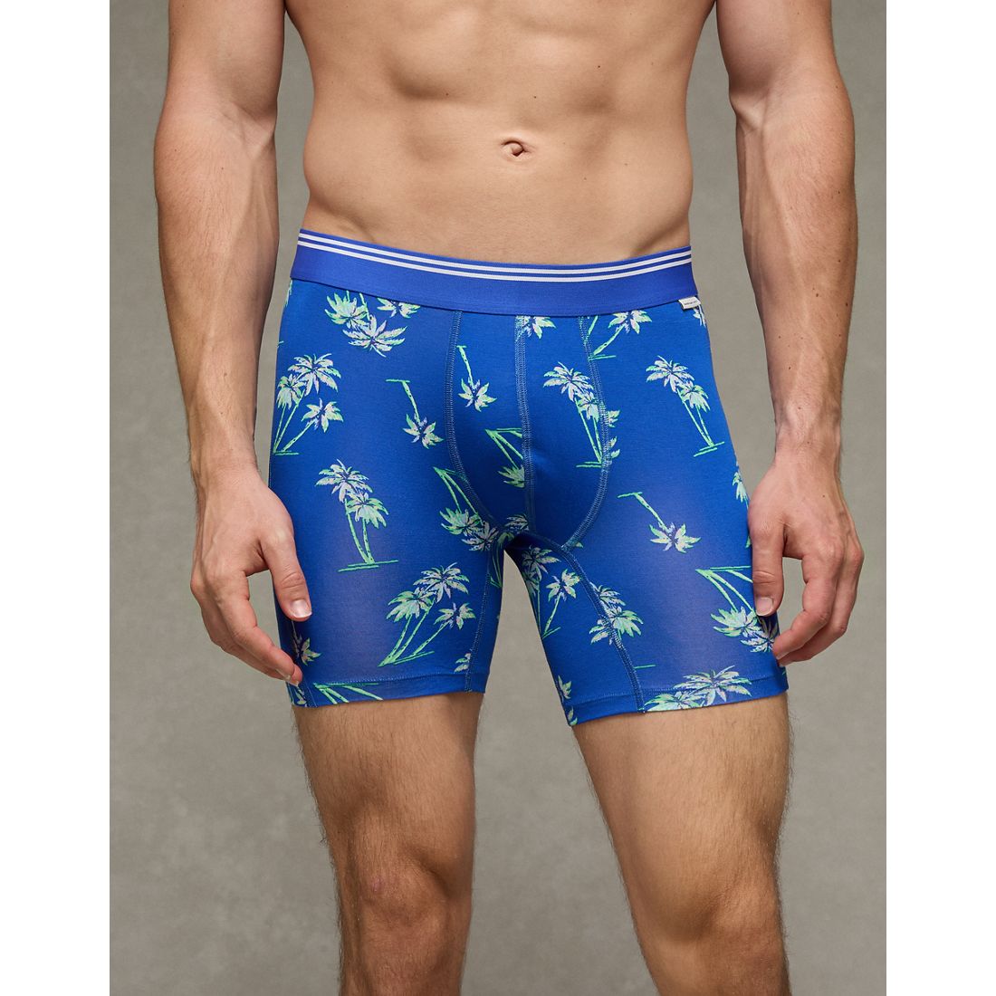 American Eagle AE
