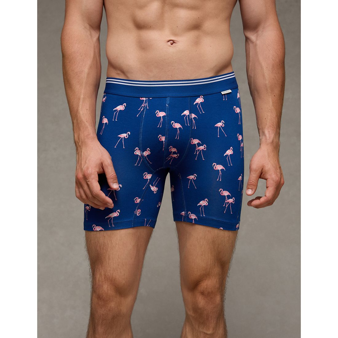 American Eagle AE