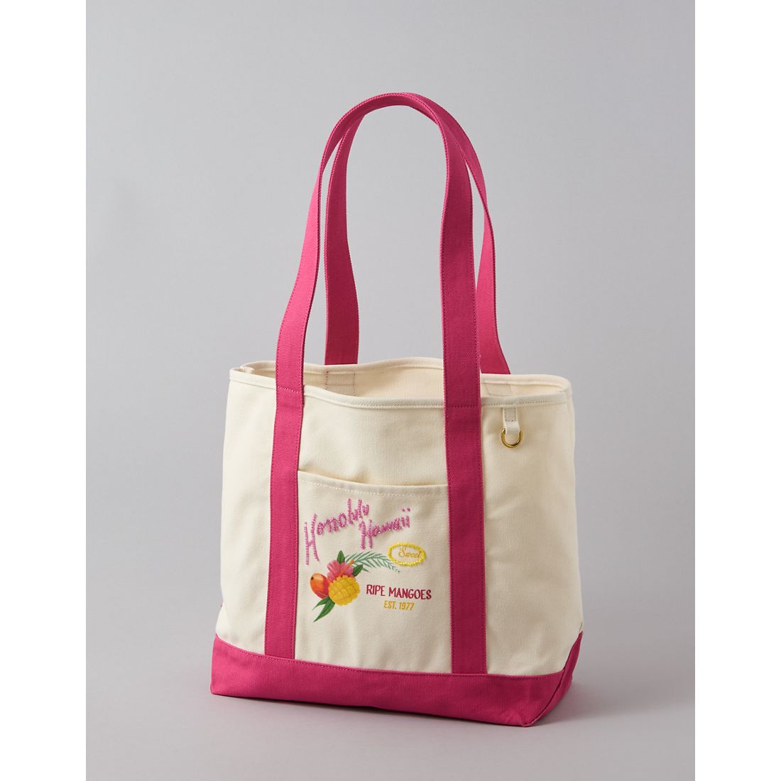 American Eagle AE Off-Duty Destination Tote