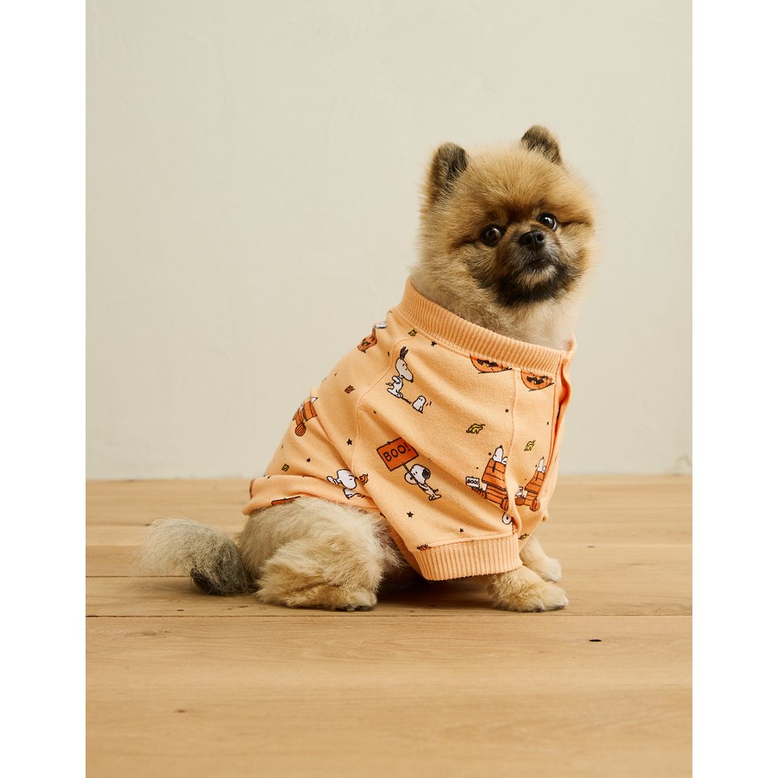 American Eagle ABO Snoopy Plush PJ Top