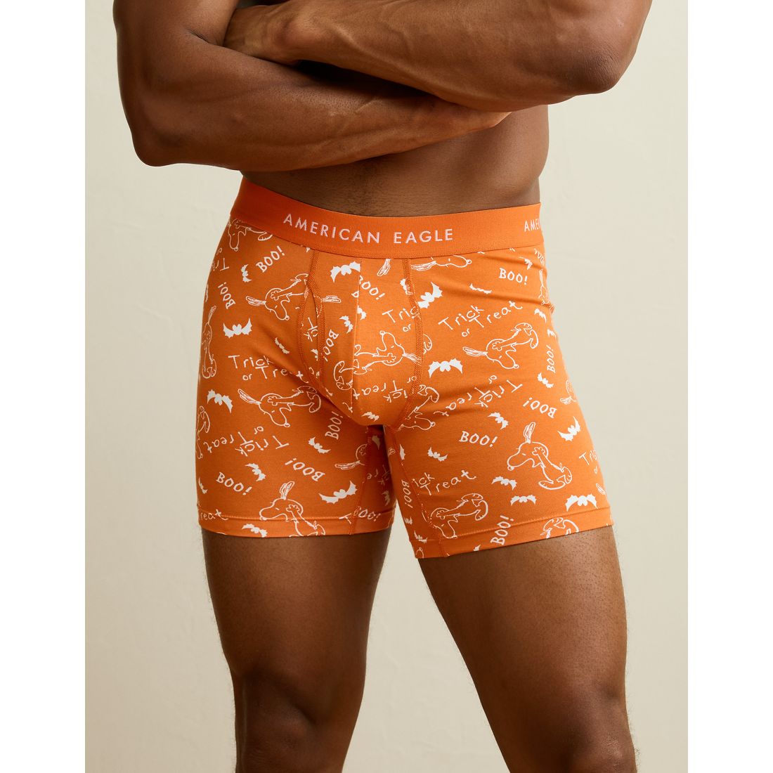 American Eagle AE