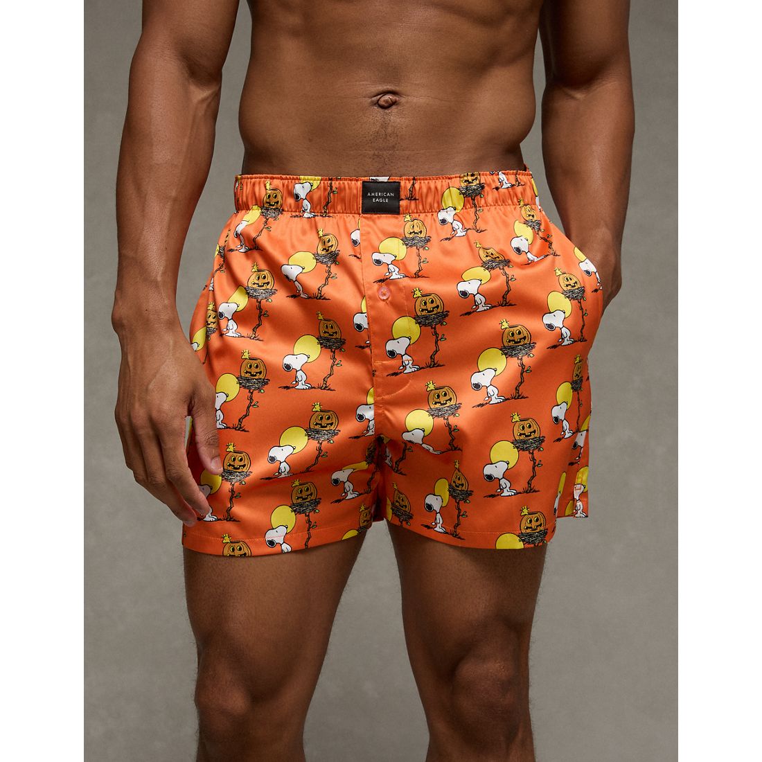 American Eagle AE