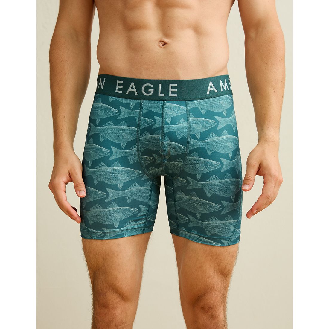 American Eagle AE
