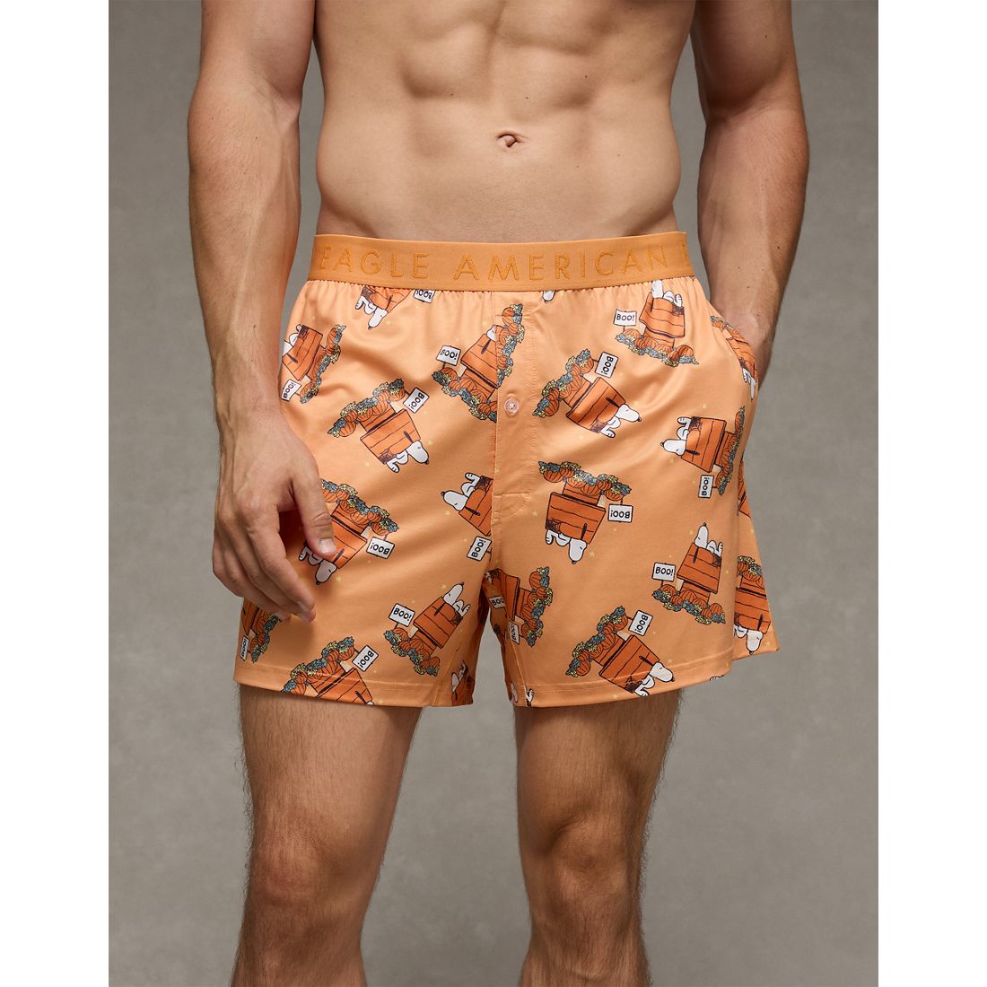 American Eagle AE