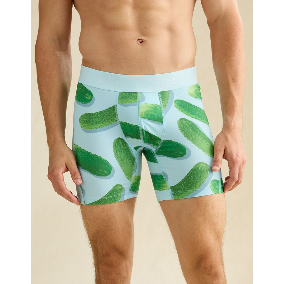 American Eagle AE