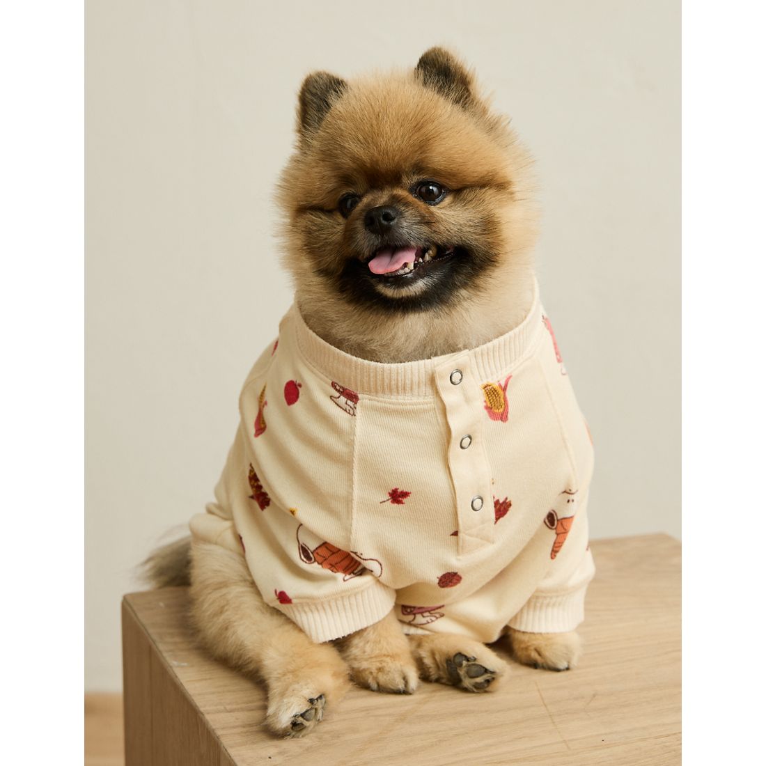 American Eagle ABO Luxe Plush Snoopy PJ Top