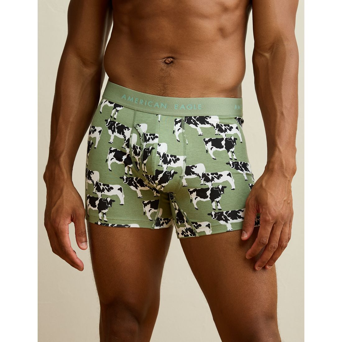 American Eagle AE