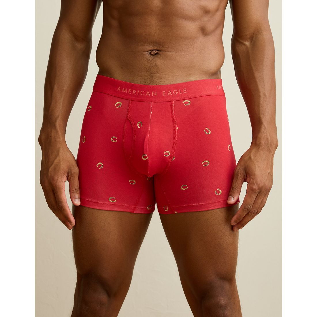 American Eagle AE