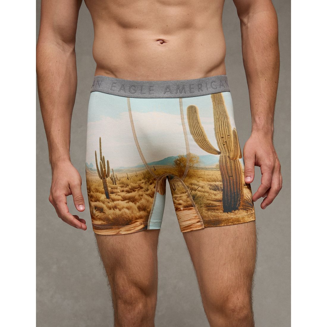 American Eagle AE
