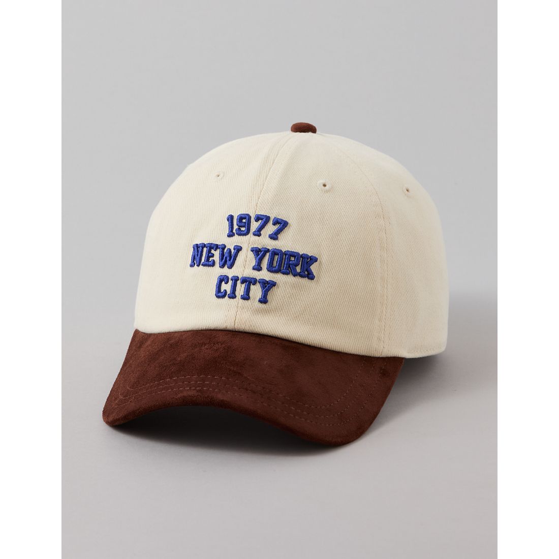American Eagle AE Graphic Baseball Hat