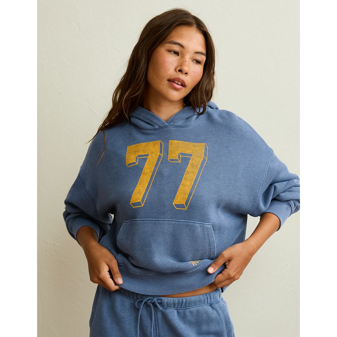 American Eagle AE Campus Hoodie