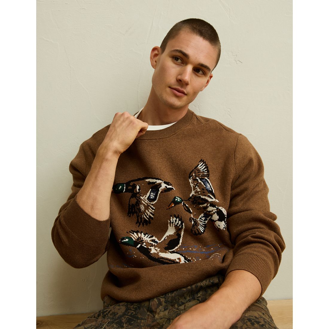 American Eagle AE Graphic Crew Neck Sweater