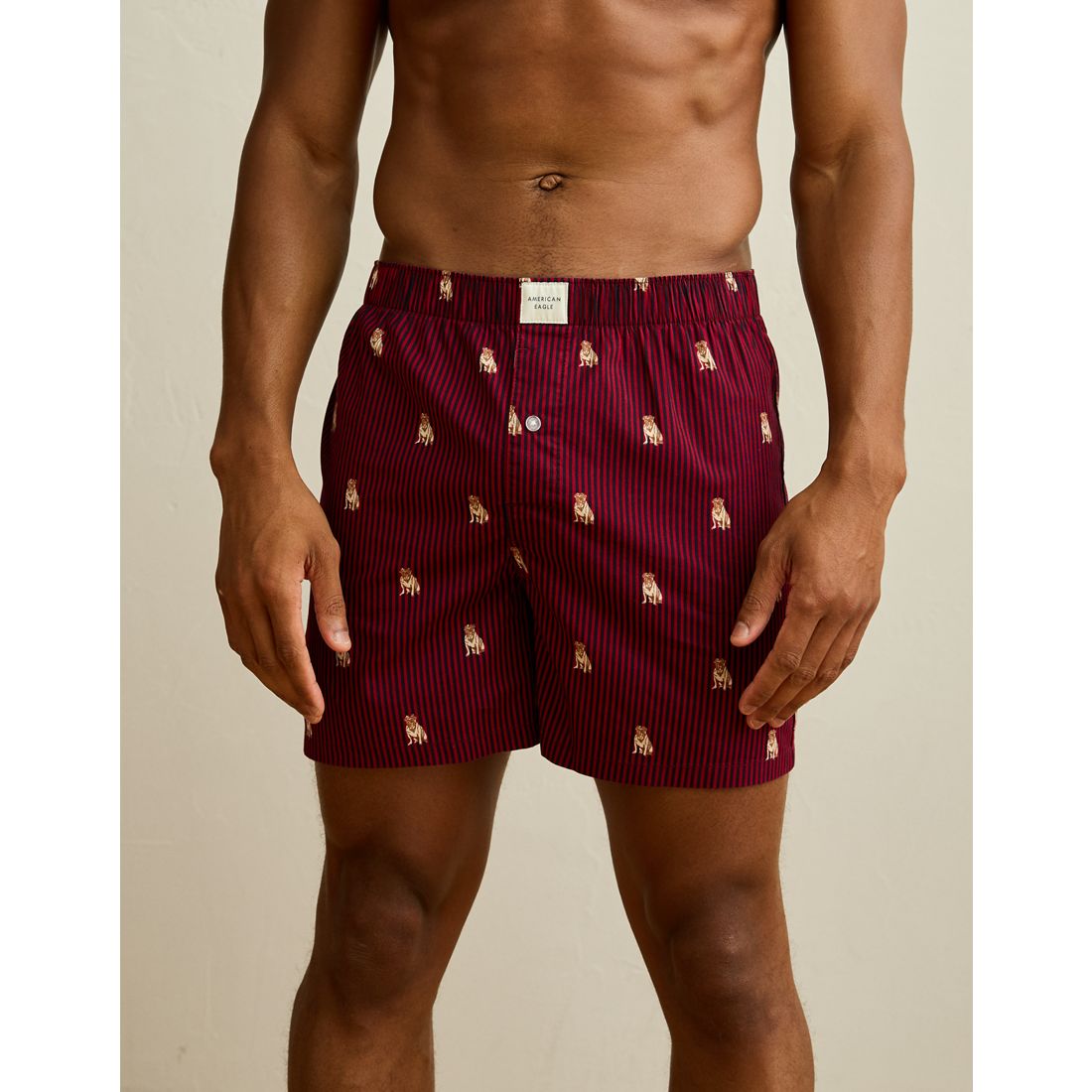 American Eagle AE