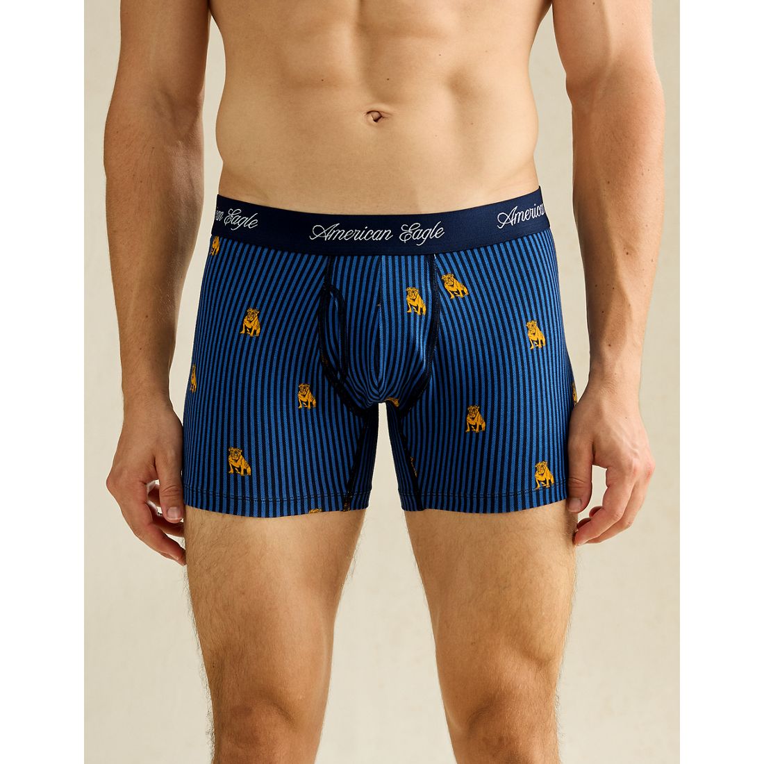 American Eagle AE