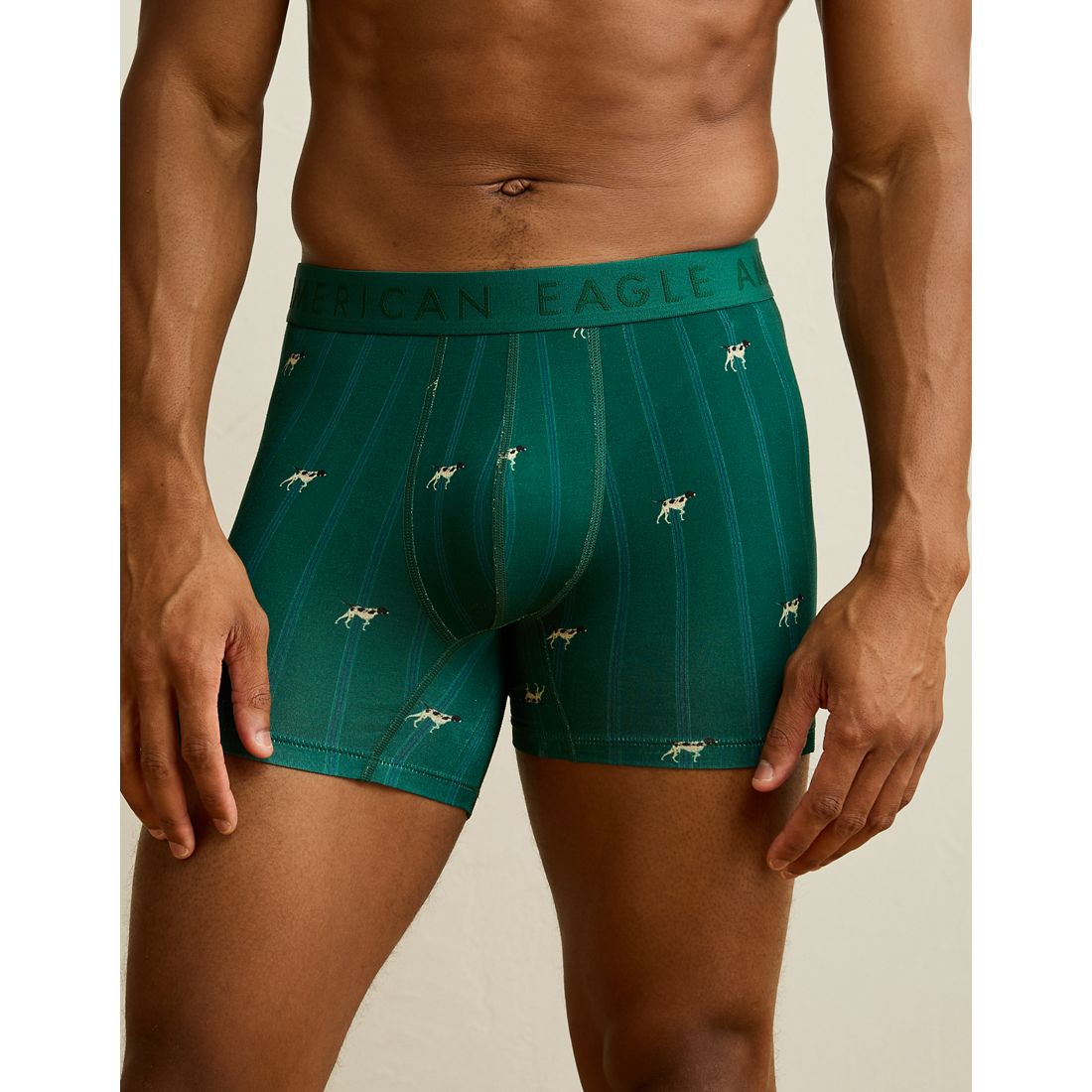 American Eagle AE