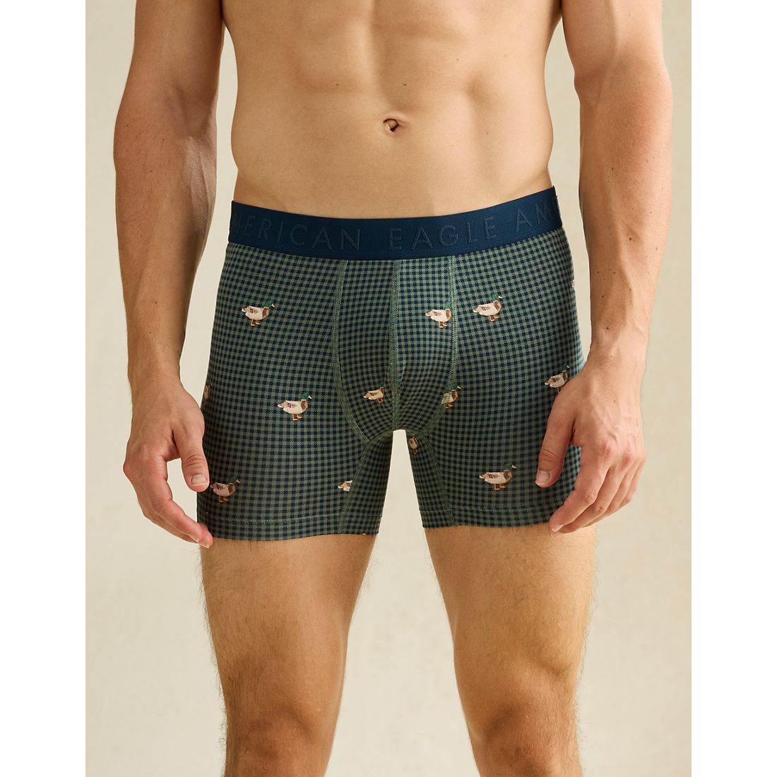 American Eagle AE