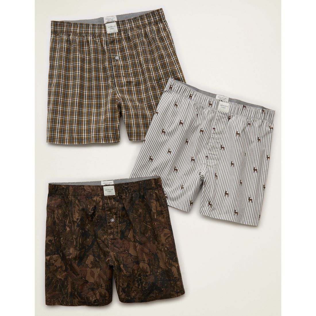 American Eagle AE