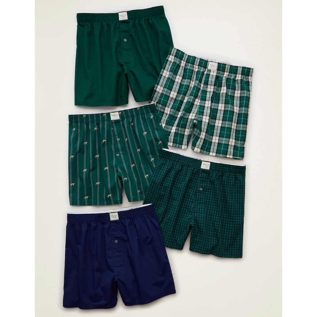 American Eagle AE