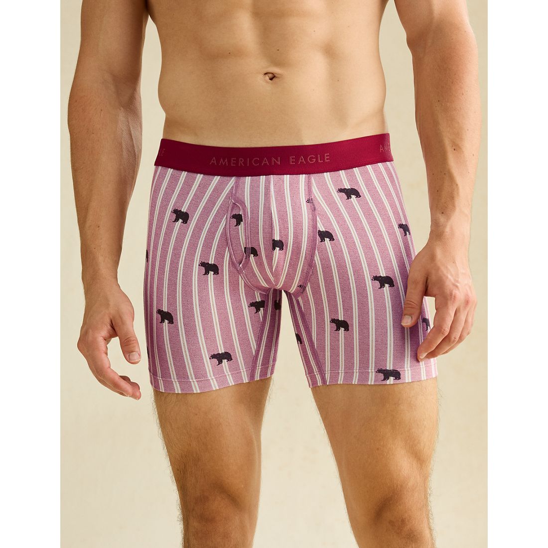 American Eagle AE
