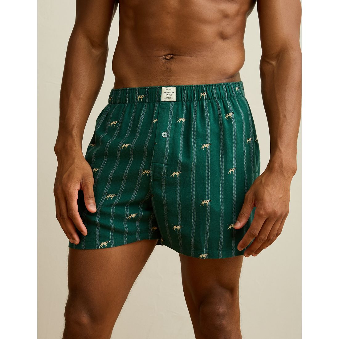 American Eagle AE