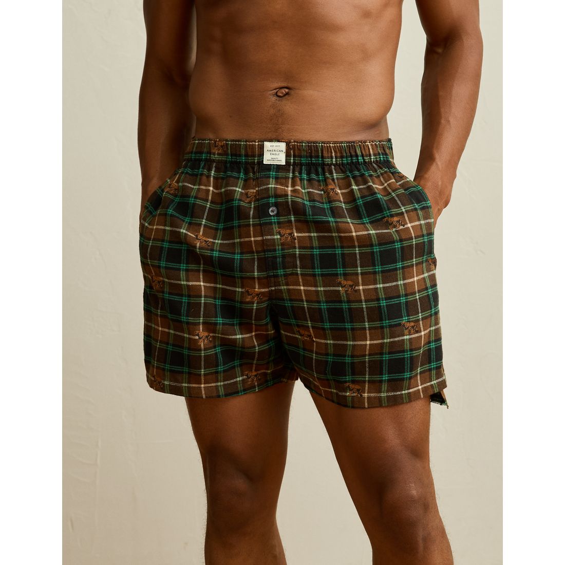 American Eagle AE