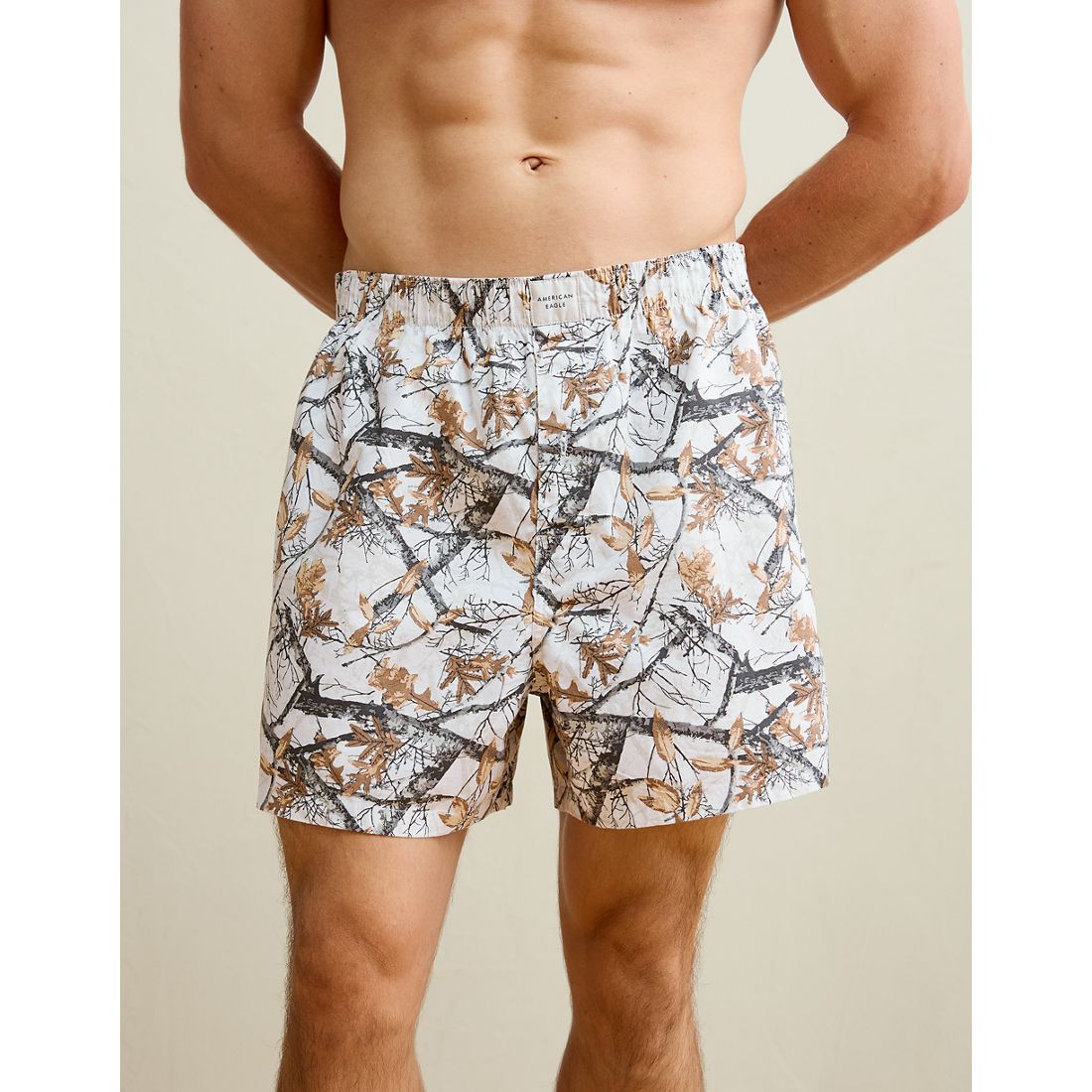 American Eagle AE