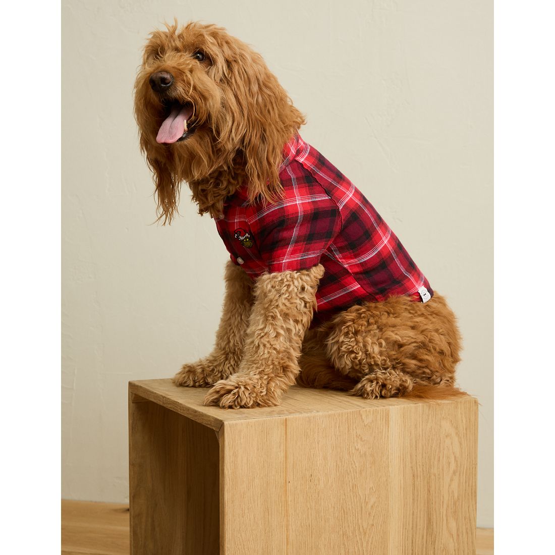American Eagle ABO Grinch Button-Up Dog Shirt