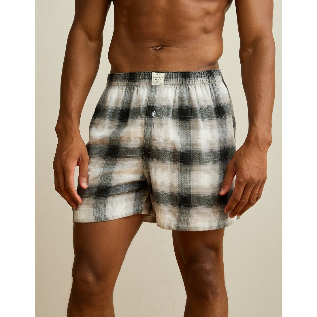 American Eagle AE