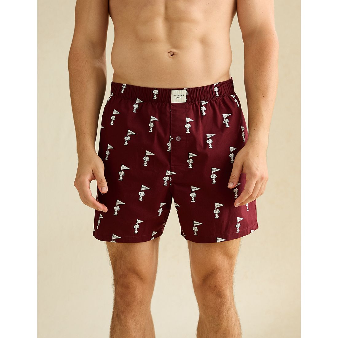 American Eagle AE