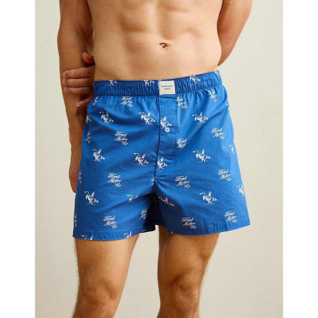 American Eagle AE