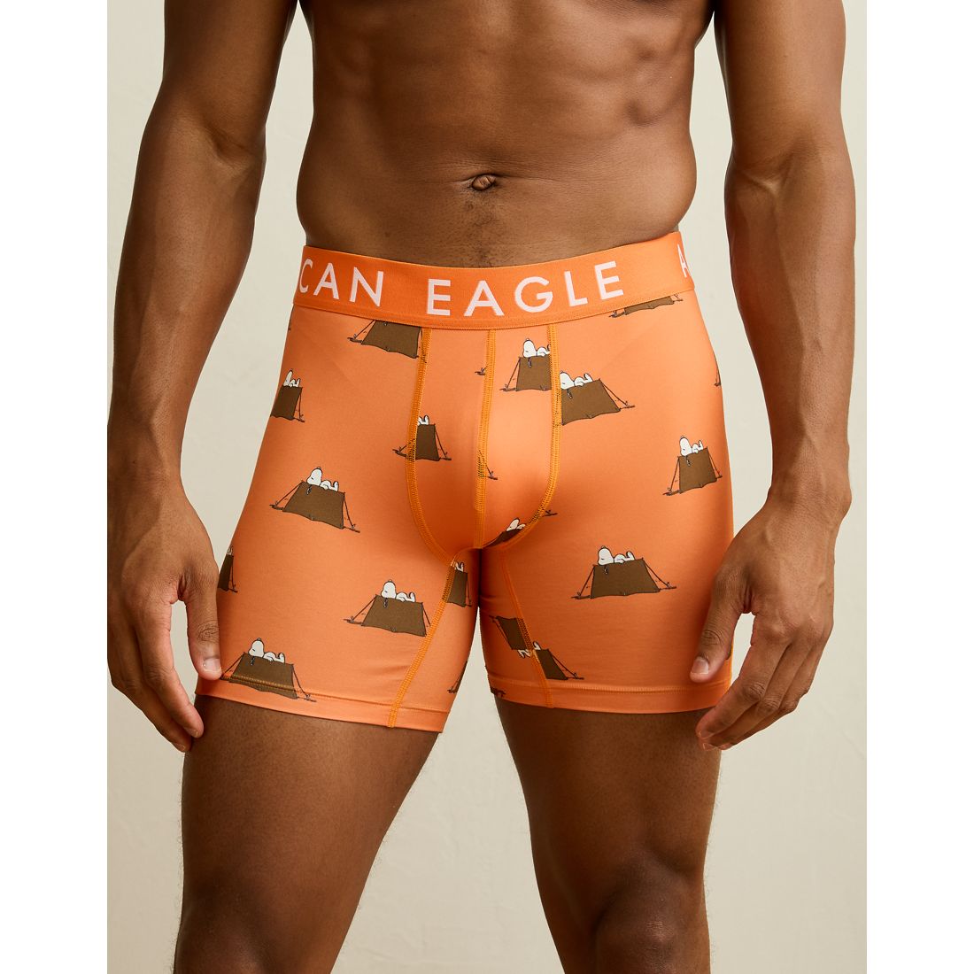 American Eagle AE