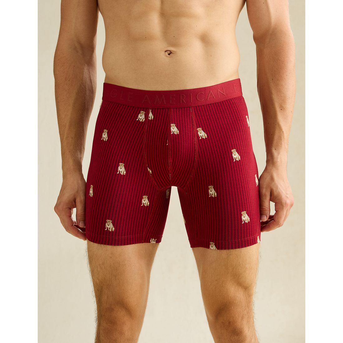 American Eagle AE